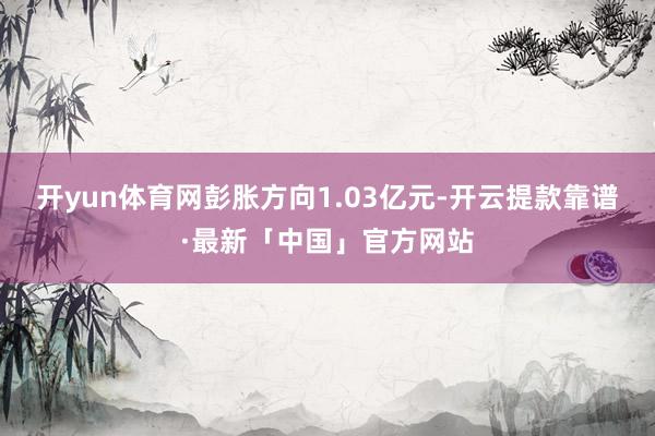 开yun体育网彭胀方向1.03亿元-开云提款靠谱·最新「中国」官方网站