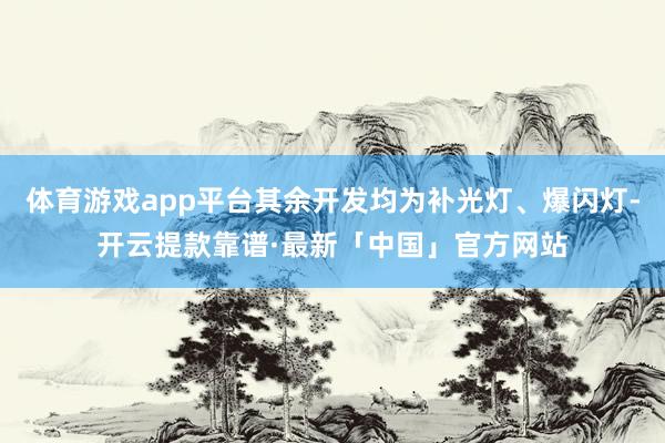 体育游戏app平台其余开发均为补光灯、爆闪灯-开云提款靠谱·最新「中国」官方网站